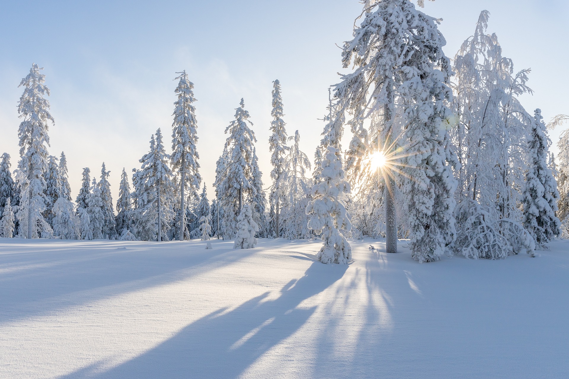 雪原と森に差し込む太陽の光